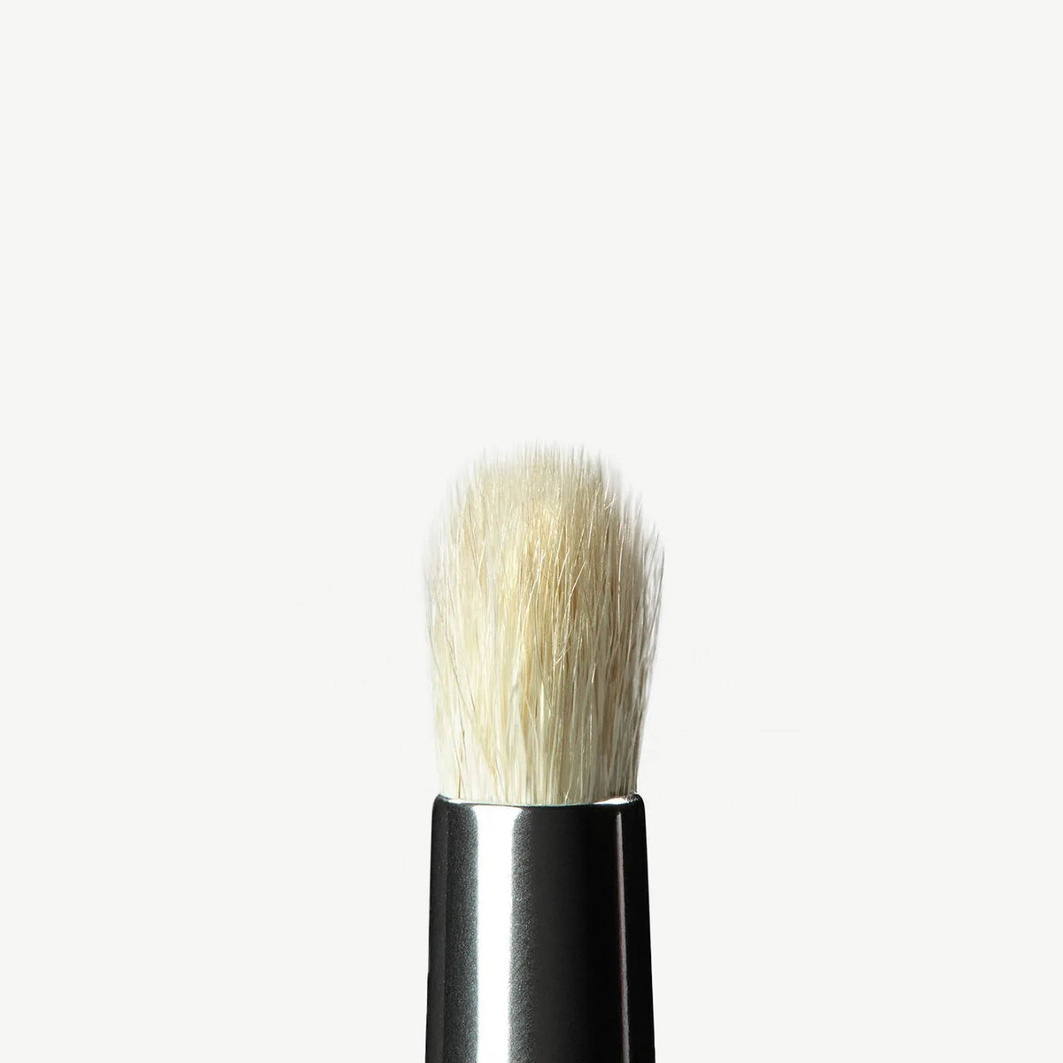 Anastasia Beverly Hills Perfect Eye Look Brush Set